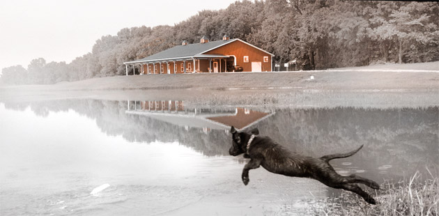 bunkhouse, training pond, and leaping dog